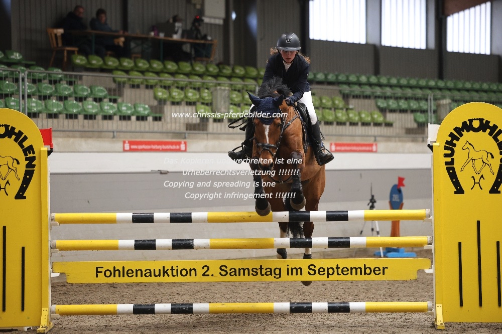 Preview lina sophie losse mit quanja IMG_0609.jpg